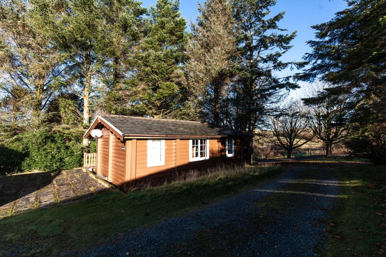 Stunning Log Cabin With Garden In Snowdonia - Hosted By Seren Short Stays Trawsfynydd Esterno foto